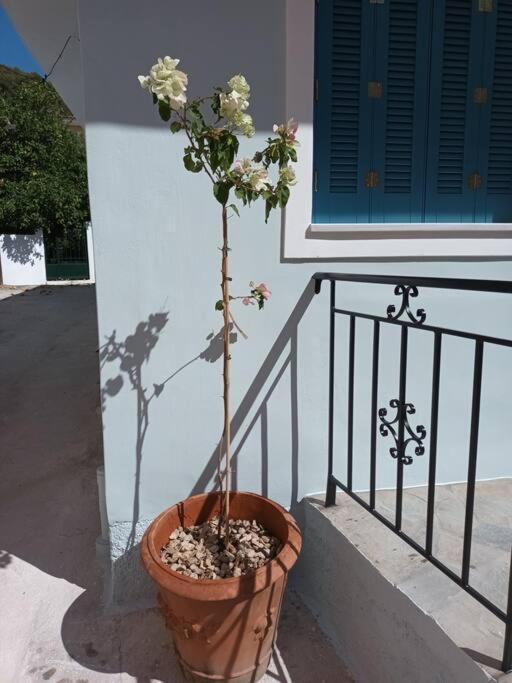 Studio Bella Epidaurus ภายนอก รูปภาพ